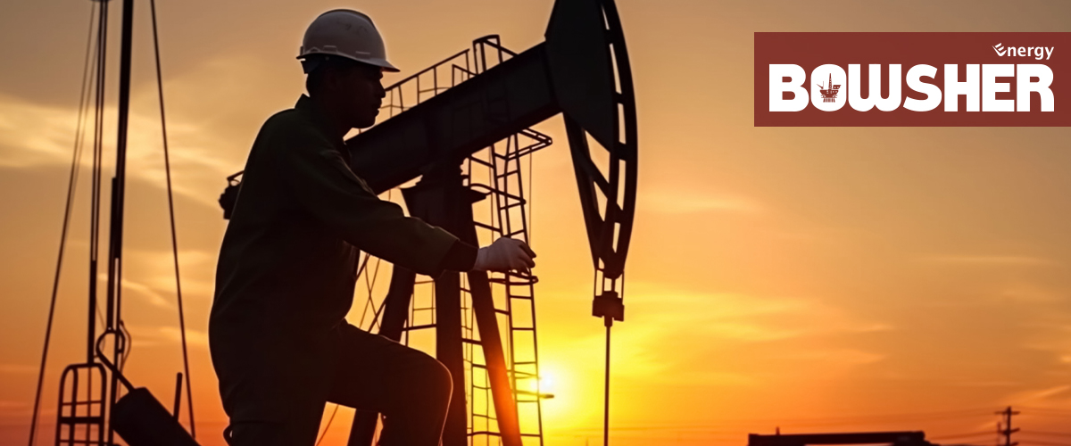 Commissioning Assistance for Oil and Gas Companies