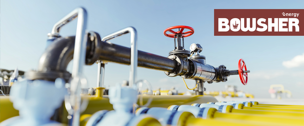 Gel and Mechanical Pigging