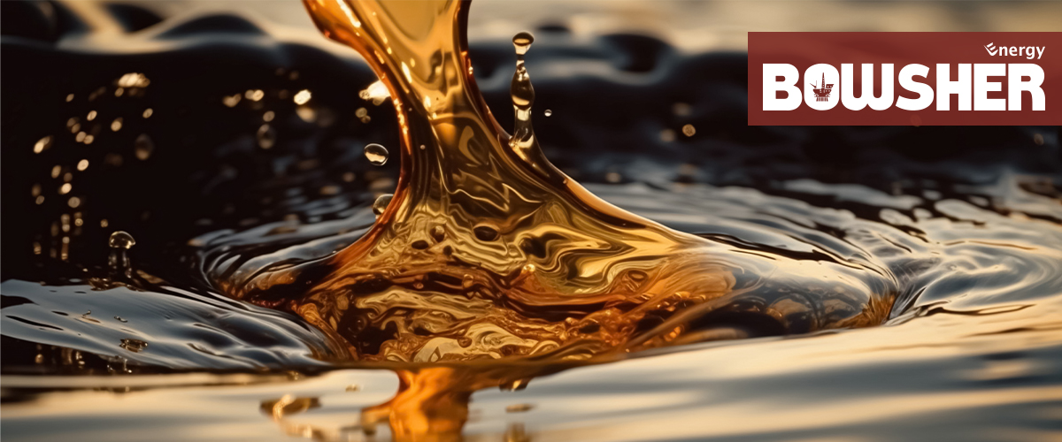 Hot Oil Flushing: Performance in the Oil and Gas Industry